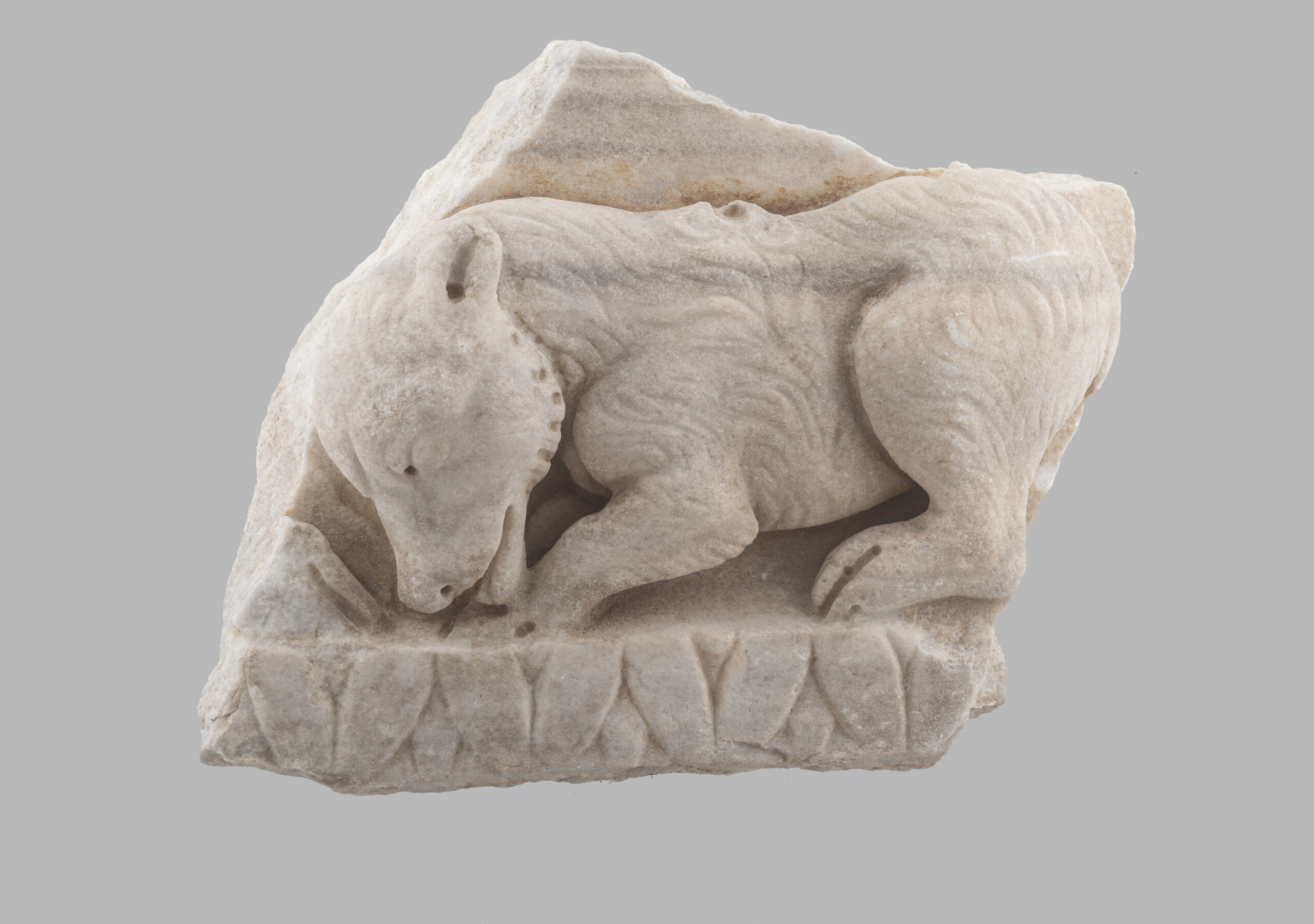 Frammento di sarcofago con orsetto e Kyma Lesbio